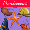 Parts of Animals Invertebrates -Montessori Zoology 1.0