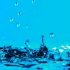 Water Drops Live Wallpaper PRO 1.1