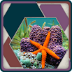 HexSaw - Undersea 1.0.14