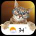 Cat weather widget 16.6.0.47720