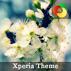Beautiful Spring | Xperia Theme 1.23.162