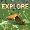 Explore Wild Essex 1.5