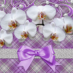 White Orchids theme 1.0