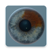 Augenoptik Kompendium für Augenoptiker / Azubis 2.2