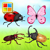 Insects Cards (Learn Languages) 3.51