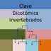 Clave Dicotómica de Invertebrados 1.0.0