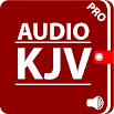 KJV Audio - Pro 25