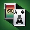 Solitaire: Patience Card Game 1.00