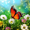 Hidden Object Adventure: Enchanted Spring Scenes 4.1 and up