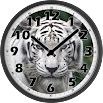 White Tiger Clock 105k