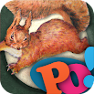 PopOut! The Tale of Squirrel Nutkin: A Pop-up Book 2.3