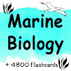 Prueba de práctica de biología marina +4800 Flashcards 1.0