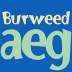 Burweed FlipFont 172k