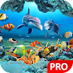 Ikan Gambar Animasi 3D Aquarium Background HD: PRO 1.2