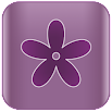 Lilac 8.0