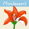 Botánica Montessori - Partes de plantas 1.0