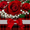 Red Roses theme 1.1