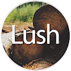 Lush - CM11 Theme 1.1