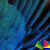 Chủ đề Feathers Blue Xperien 1.0.2