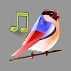 Birds Sounds Relax and Sleep 4.4.40092