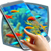 Fish Live Wallpaper Free 1.313.1.20