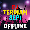 Dj Terdiam Sepi- ը անցանց է Nonstop Terbaru 1.2
