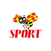SportExpressen - Allsvenskan, SHL, Fotboll 8.3.2