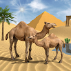 Camel Family Life Simulator 4.5
