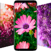 Flower Wallpapers in HD, 4K 4.1.37
