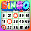 Bingo - Offline Board Game 2.4