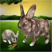 Ultimate Rabbit Simulator 1.12