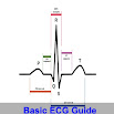 Basic ECG Guide 5.2.0
