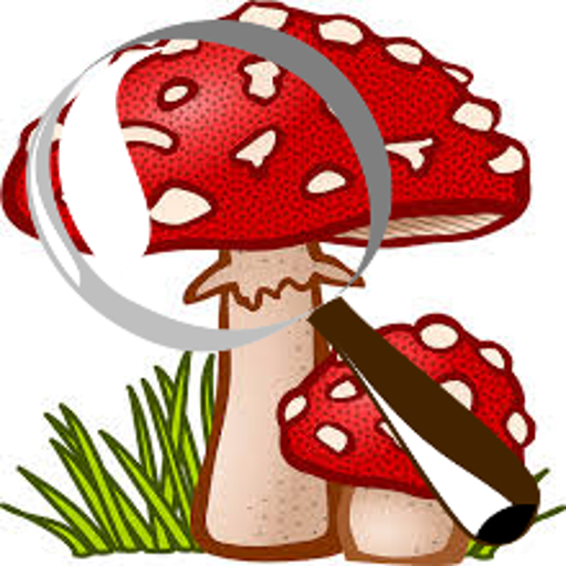 Mushroom Tracker 