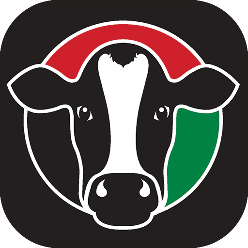 Italian Dairy Products UAE 1.3.15