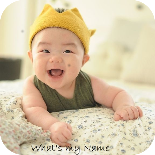 Hindu Baby Names With Meanings 1.16