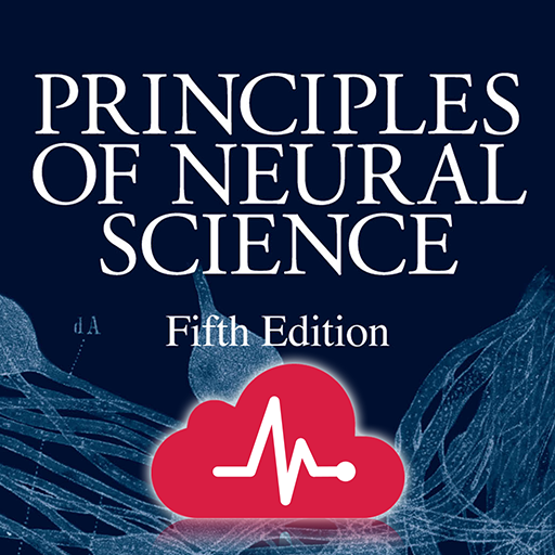 Principles of Neural Science 3.6.13