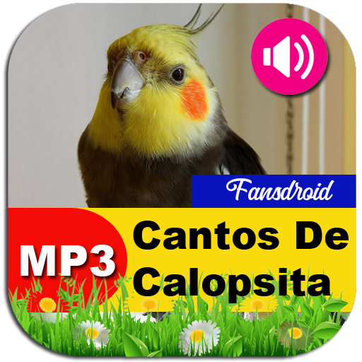 Canto De Calopsita 2.3.7