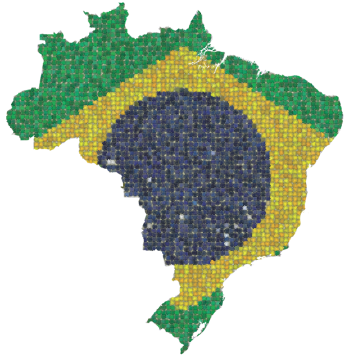Brasil futebol 98.6