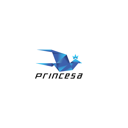Viaje Princesa 3.4.160