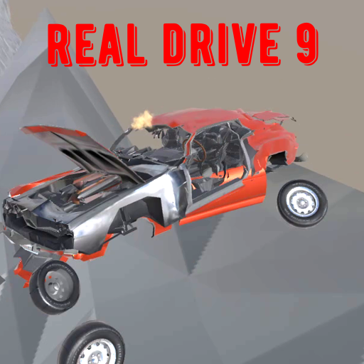 Real Drive 9 6