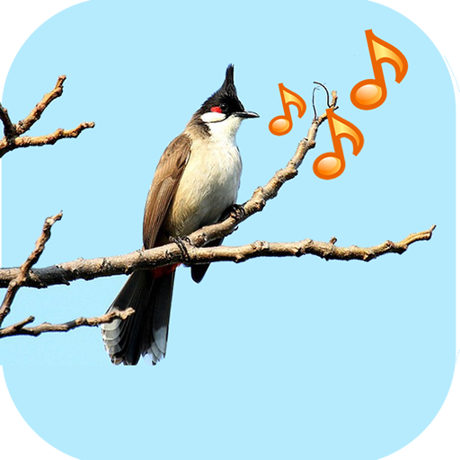 Singing Birds 1.9