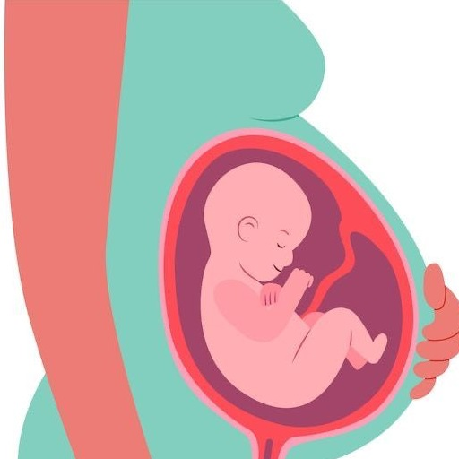 Minha gravidez e meu bebê 4.0