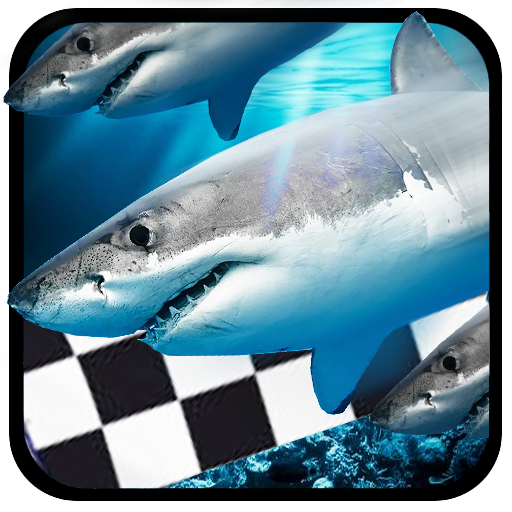 Fish Race 12.0