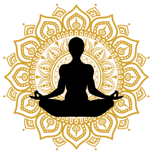 Surya Namaskar Yoga Hindi 2.0